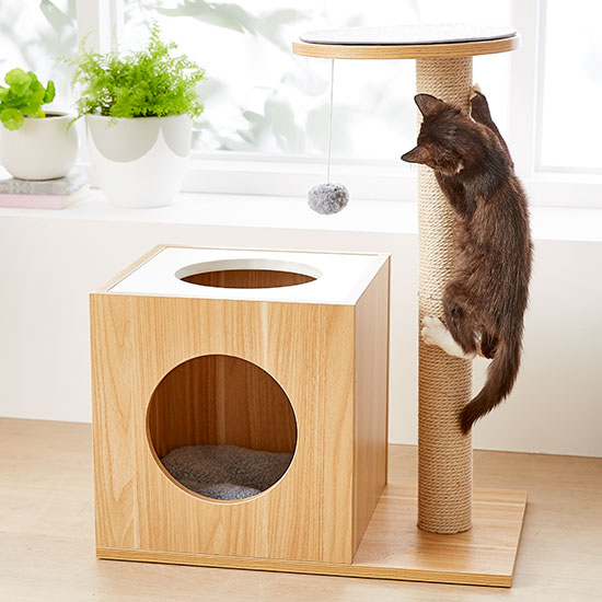 cat play gym kmart