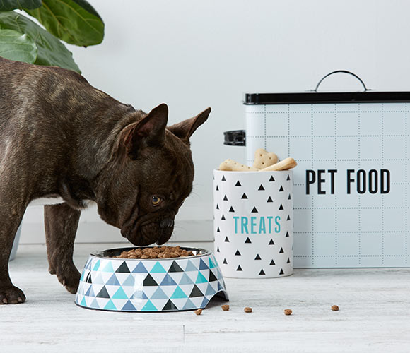 dog food storage kmart