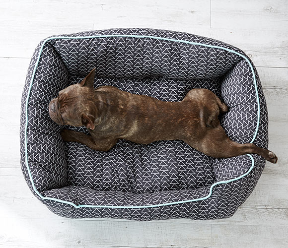 kmart pet mat