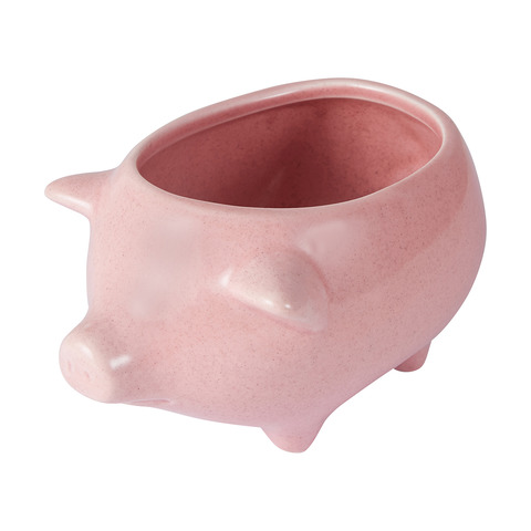 kmart pig toy