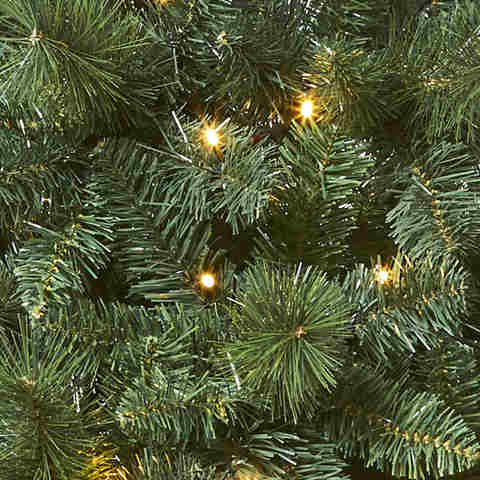 1.82m (6ft) Pre-Lit Majestic Christmas Tree | Kmart