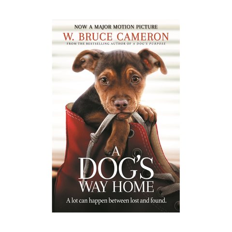 Image result for what is a dog's way home book about