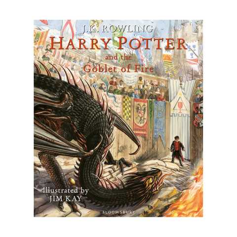 harry potter and the goblet of fire book