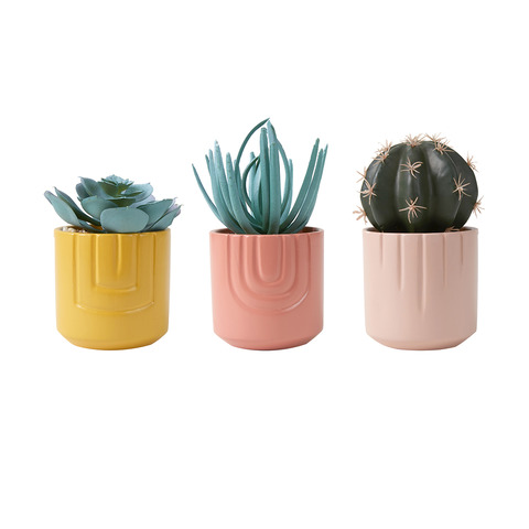 3 Pack Artificial Cacti Kmart - round cactus roblox