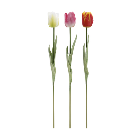 Single Stem Tulip - Assorted | Kmart