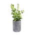 Cement Pot Plant | Kmart