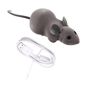 cat toy mouse racer