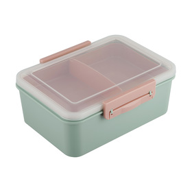 sage green lunch box