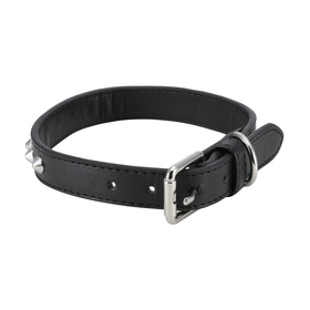 Dog Collars | Dog Harness & Dog Leads | Kmart