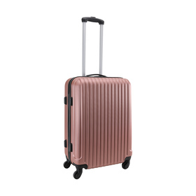 rose gold suitcase kmart