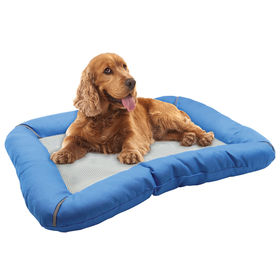 Kmart chew resistant bed best sale